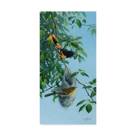 Wilhelm Goebel 'Nesting Orioles' Canvas Art,10x19